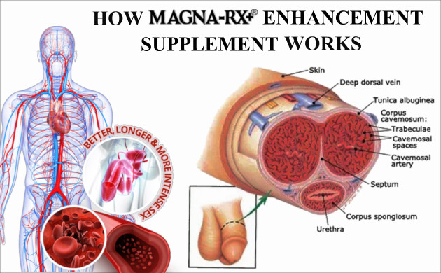 How Male Enhancement Works